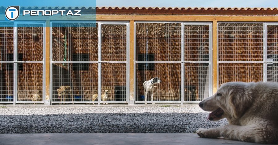 &Pi;&epsilon;&rho;ί &sigma;&kappa;ύ&lambda;&omega;&nu; &nu;ό&mu;&omicron;&sigmaf;: &Alpha;&nu;&tau;&iota;&delta;&rho;&omicron;ύ&nu; &omicron;&iota; &tau;&omicron;&pi;&iota;&kappa;έ&sigmaf; &alpha;&rho;&chi;έ&sigmaf; &ndash; &Zeta;&eta;&tau;&omicron;ύ&nu; &alpha;&rho;&omega;&gamma;ή &alpha;&pi;ό &Kappa;&upsilon;&beta;έ&rho;&nu;&eta;&sigma;&eta; &gamma;&iota;&alpha; &kappa;&alpha;&tau;&alpha;&phi;ύ&gamma;&iota;&alpha; &pi;&rho;&iota;&nu; &pi;&epsilon;&rho;ά&sigma;&omicron;&upsilon;&nu; &omicron;&iota; &tau;&rho;&omicron;&pi;&omicron;&pi;&omicron;&iota;ή&sigma;&epsilon;&iota;&sigmaf;