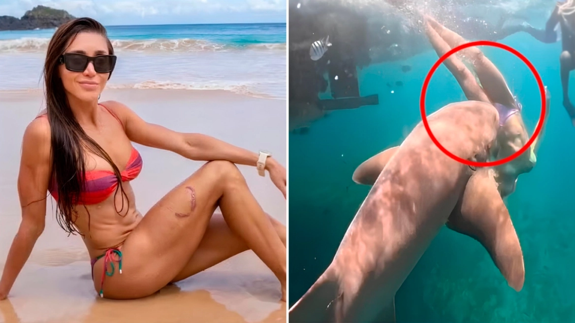 &Delta;&epsilon;ί&tau;&epsilon; &beta;ί&nu;&tau;&epsilon;&omicron;: &Eta; &sigma;&tau;&iota;&gamma;&mu;ή &pi;&omicron;&upsilon; &kappa;&alpha;&rho;&chi;&alpha;&rho;ί&alpha;&sigmaf; &sigma;&tau;&eta; &Beta;&rho;&alpha;&zeta;&iota;&lambda;ί&alpha; &alpha;&rho;&pi;ά&zeta;&epsilon;&iota; &alpha;&pi;ό &tau;&omicron; &pi;ό&delta;&iota; &tau;&omicron;&upsilon;&rho;ί&sigma;&tau;&rho;&iota;&alpha; &mu;ό&lambda;&iota;&sigmaf; &beta;&omicron;&upsilon;&tau;ά &sigma;&tau;&eta; &theta;ά&lambda;&alpha;&sigma;&sigma;&alpha;