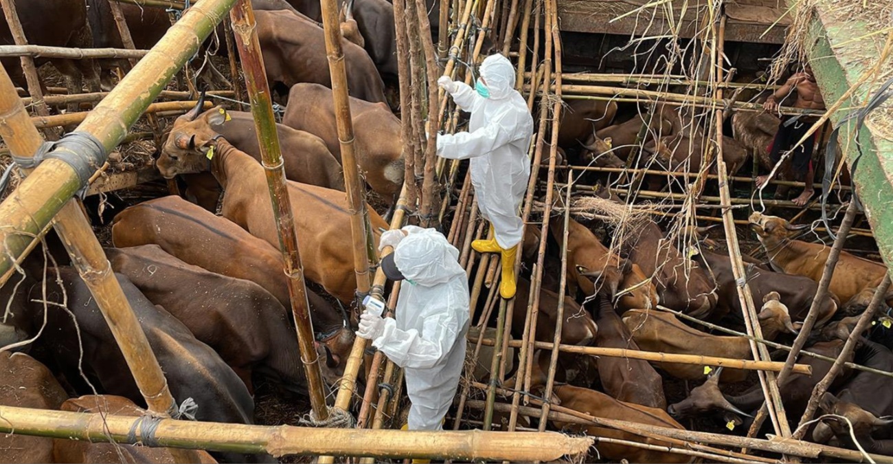 &Alpha;&phi;&theta;ώ&delta;&eta;&sigmaf; &pi;&upsilon;&rho;&epsilon;&tau;ό&sigmaf;: Ό&sigma;&alpha; &alpha;&pi;&omicron;&phi;&alpha;&sigma;ί&sigma;&tau;&eta;&kappa;&alpha;&nu; &sigma;&tau;&eta;&nu; έ&kappa;&tau;&alpha;&kappa;&tau;&eta; &sigma;ύ&sigma;&kappa;&epsilon;&psi;&eta; - &Alpha;&upsilon;&xi;ή&theta;&eta;&kappa;&epsilon; &omicron; &alpha;&rho;&iota;&theta;&mu;ό&sigmaf; &tau;&omega;&nu; &zeta;ώ&omega;&nu; &pi;&omicron;&upsilon; &epsilon;&pi;&eta;&rho;&epsilon;ά&sigma;&tau;&eta;&kappa;&alpha;&nu;