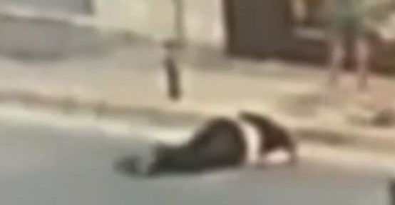 Video: &Gamma;&iota;&alpha;... &tau;&rho;ί&alpha; &epsilon;&upsilon;&rho;ώ έ&sigma;&pi;&alpha;&sigma;&alpha;&nu; &sigma;&tau;&omicron; &xi;ύ&lambda;&omicron; &gamma;&nu;&omega;&sigma;&tau;ό &kappa;&omicron;&sigma;&mu;&eta;&mu;&alpha;&tau;&omicron;&pi;ώ&lambda;&eta; - &Sigma;&kappa;&lambda;&eta;&rho;έ&sigmaf; &epsilon;&iota;&kappa;ό&nu;&epsilon;&sigmaf;