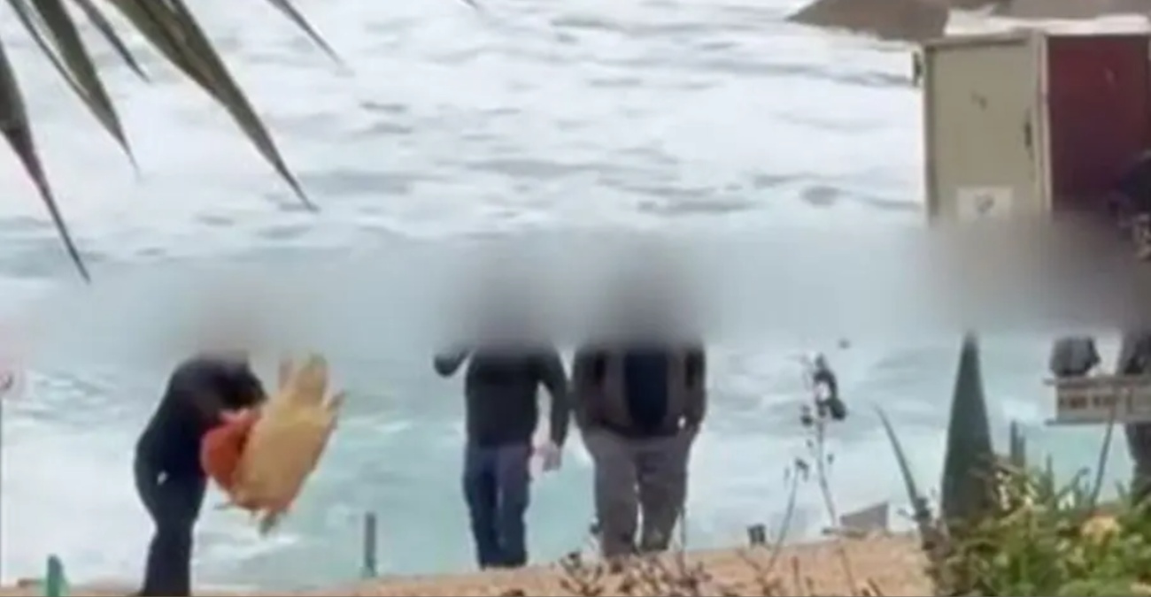 Η στιγμή που υπάλληλοι κακοποιούν θαλάσσια χελώνα στη Χλώρακα