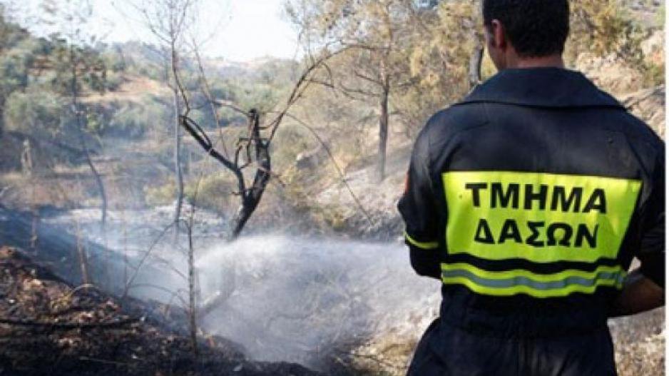 Ξέσπασαν πέντε εστίες σε απόσταση ενός χιλιομέτρου στην Επ. Λευκωσίας Ξέσπασαν πέντε εστίες σε απόσταση ενός χιλιομέτρου στην Επ. Λευκωσίας