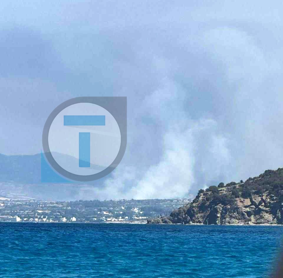 Φωτιά στην Πάφο: Συνεχίζεται η μάχη με τις φλόγες – Κινδυνεύει οικία