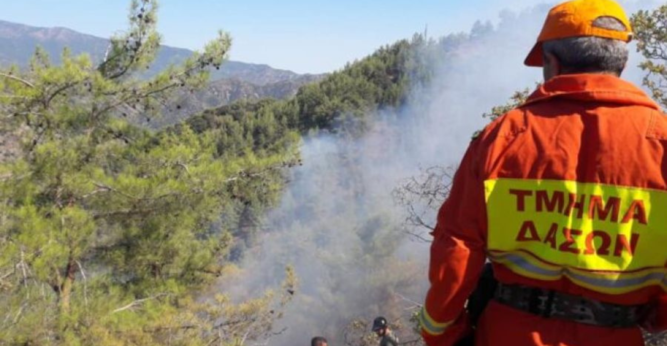 Χωρίς δασοπυροσβέστες το Τμήμα Δασών – Αβέβαιο αν στελεχωθεί όπως πέρσι Χωρίς δασοπυροσβέστες το Τμήμα Δασών – Αβέβαιο αν στελεχωθεί όπως πέρσι