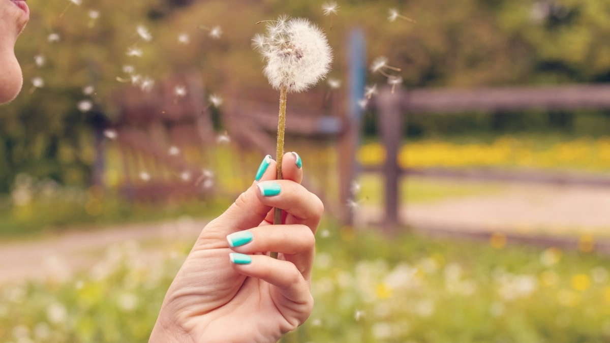 Αν είσαι αλλεργικός στη γύρη, αυτή είναι η ώρα που απαγορεύεται να αερίζεις το σπίτι