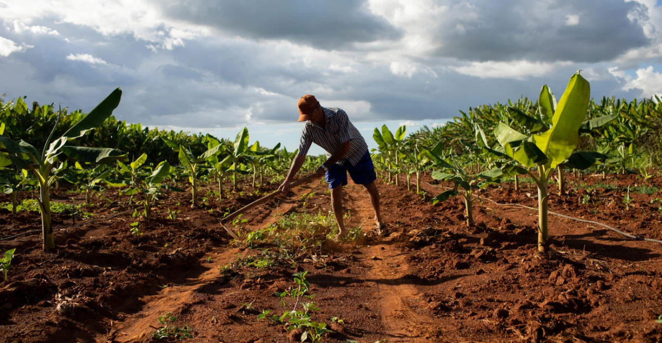 Αγροτική κρίση: Η λειψυδρία θα ανεβάσει κατακόρυφα τις τιμές τροφίμων στην Κύπρο