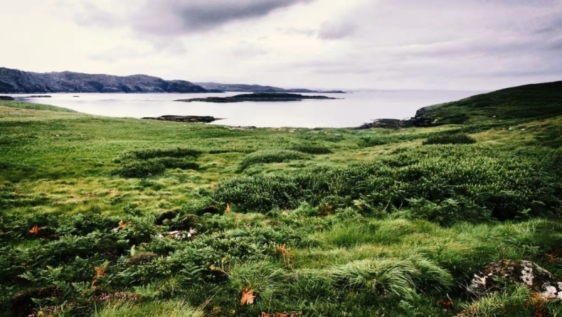 Ζητούνται άτομα για εργασία σε έρημο νησί