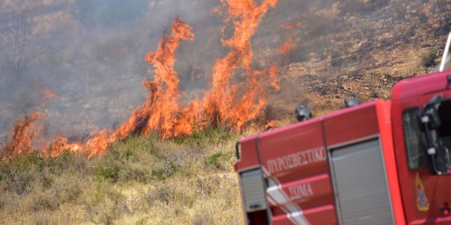 Πρόλαβαν τα χειρότερα: Ξέσπασε πυρκαγιά στην Ίνεια - Κατέκαψε σωρό σκουπιδιών εντός κτηνοτροφικού υποστατικού.