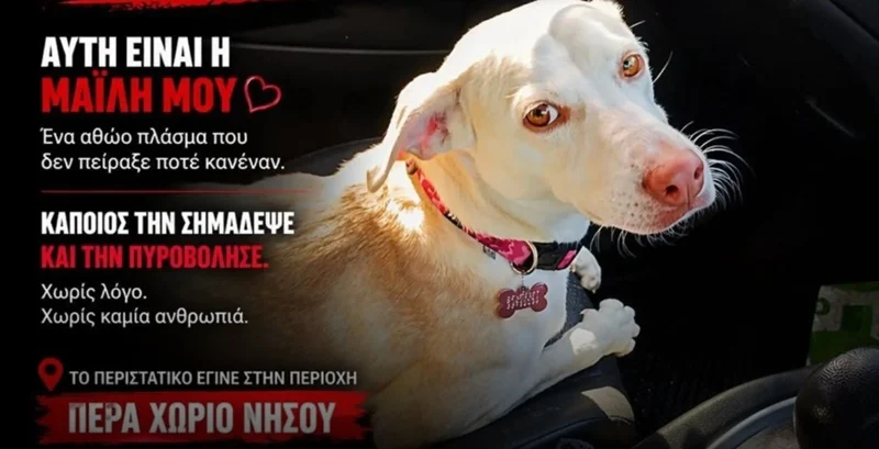 &Rho;&alpha;&gamma;&delta;&alpha;ί&epsilon;&sigmaf; &epsilon;&xi;&epsilon;&lambda;ί&xi;&epsilon;&iota;&sigmaf; &mu;&epsilon; &tau;&eta;&nu; &upsilon;&pi;ό&theta;&epsilon;&sigma;&eta; &pi;&upsilon;&rho;&omicron;&beta;&omicron;&lambda;&iota;&sigma;&mu;&omicron;ύ &tau;&eta;&sigmaf; &Mu;&alpha;ΐ&lambda;&eta;: &Epsilon;&nu;&tau;ό&pi;&iota;&sigma;&alpha;&nu; &tau;&omicron;&nu; &delta;&rho;ά&sigma;&tau;&eta; - &laquo;&Omicron;&pi;&lambda;&omicron;&sigma;&tau;ά&sigma;&iota;&omicron;&raquo; &tau;&omicron; &sigma;&pi;ί&tau;&iota; &tau;&omicron;&upsilon;, &tau;&iota; &iota;&sigma;&chi;&upsilon;&rho;ί&zeta;&epsilon;&tau;&alpha;&iota;