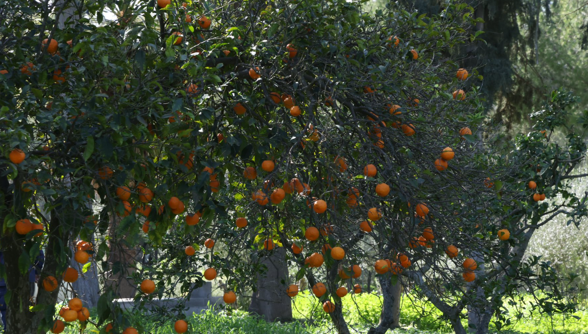 &Tau;&omicron; &Pi;&epsilon;&rho;&iota;&beta;ό&lambda;&iota; &tau;&omicron;&upsilon; &Pi;&rho;&omicron;&epsilon;&delta;&rho;&iota;&kappa;&omicron;ύ &sigma;&tau;&eta;&rho;ί&zeta;&epsilon;&iota; &epsilon;&upsilon;ά&lambda;&omega;&tau;&epsilon;&sigmaf; &omicron;&mu;ά&delta;&epsilon;&sigmaf; &gamma;&iota;&alpha; &tau;&rho;ί&tau;&eta; &sigma;&upsilon;&nu;&epsilon;&chi;ή &chi;&rho;&omicron;&nu;&iota;ά - &Tau;&omicron; &mu;ή&nu;&upsilon;&mu;&alpha; &tau;&eta;&sigmaf; &Pi;&rho;ώ&tau;&eta;&sigmaf; &Kappa;&upsilon;&rho;ί&alpha;&sigmaf;