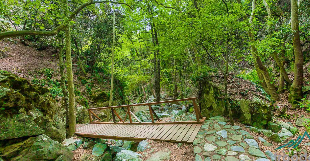 Ανοίγουν οι αιτήσεις! Ποιοι θα πάρουν επιχορήγηση για πάρκα, μονοπάτια, κατασκηνωτικούς χώρους και Κέντρα Περιβαλλοντικής Ενημέρωσης