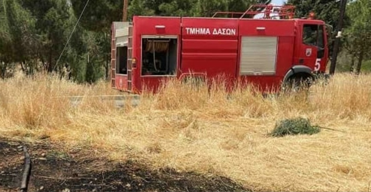 Βλέπουν ανθρώπινο χέρι πίσω από την πυρκαγιά στις Δύμες – Έγιναν στάχτη πεύκα και αμυγδαλιές Βλέπουν ανθρώπινο χέρι πίσω από την πυρκαγιά στις Δύμες – Έγιναν στάχτη πεύκα και αμυγδαλιές