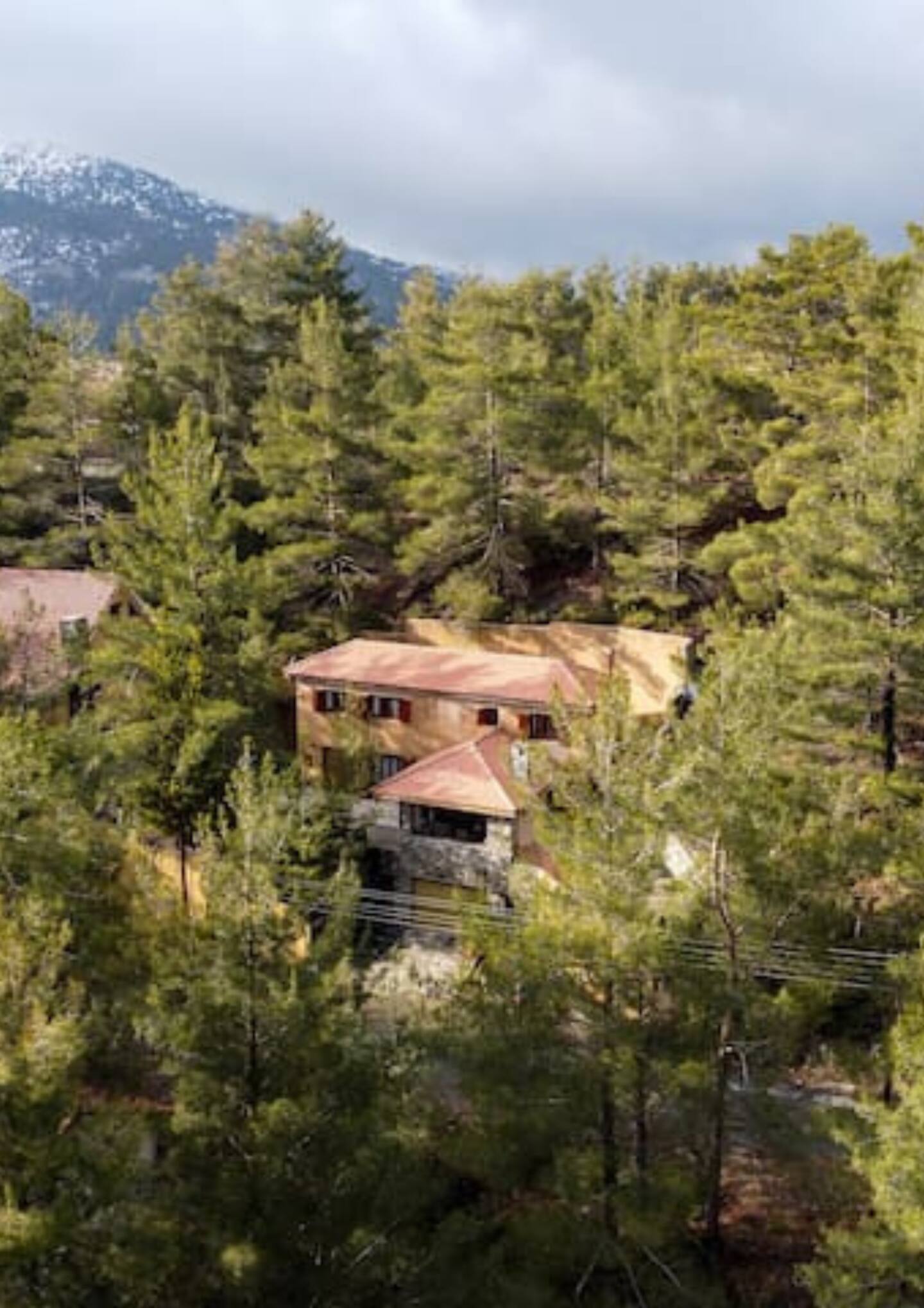 Ένα σαλέ κρυμμένο στο δάσος του Αμίαντου Τροόδους – Δείτε φωτογραφίες