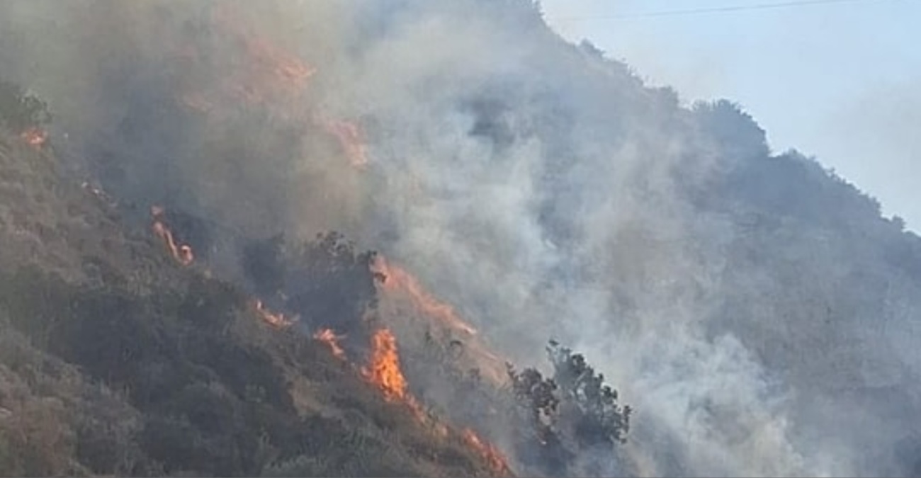 VIDEO: Ενισχύονται τα πτητικά μέσα πυρόσβεσης στα Πολεμίδια – Εκκένωση ξενοδοχείου σκύλων στην περιοχή