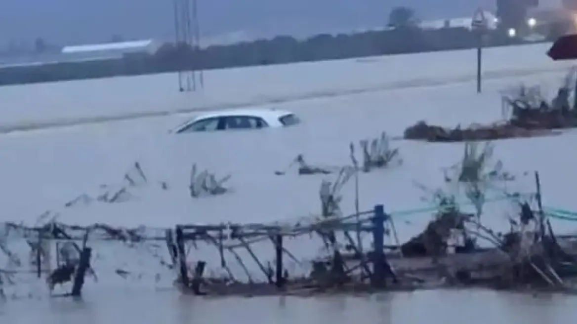 &Phi;&omicron;&nu;&iota;&kappa;ή &kappa;&alpha;&kappa;&omicron;&kappa;&alpha;&iota;&rho;ί&alpha; &sigma;&tau;&eta;&nu; &Tau;&upsilon;&nu;&eta;&sigma;ί&alpha;: &Tau;&omicron;&upsilon;&lambda;ά&chi;&iota;&sigma;&tau;&omicron;&nu; &tau;έ&sigma;&sigma;&epsilon;&rho;&iota;&sigmaf; &nu;&epsilon;&kappa;&rho;&omicron;ί &alpha;&pi;ό &tau;&iota;&sigmaf; &sigma;&phi;&omicron;&delta;&rho;έ&sigmaf; &beta;&rho;&omicron;&chi;&omicron;&pi;&tau;ώ&sigma;&epsilon;&iota;&sigmaf;