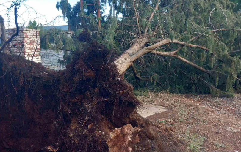 &Kappa;&alpha;&tau;&alpha;&sigma;&tau;&rho;&omicron;&phi;έ&sigmaf; &alpha;&pi;ό &tau;&eta;&nu; &kappa;&alpha;&kappa;&omicron;&kappa;&alpha;&iota;&rho;ί&alpha;: &Pi;&omicron;ύ &nu;&alpha; &alpha;&pi;&omicron;&tau;&alpha;&theta;&epsilon;ί&tau;&epsilon; &alpha;&nu; &upsilon;&pi;&epsilon;&sigma;&tau;ή&kappa;&alpha;&tau;&epsilon; &zeta;&eta;&mu;&iota;έ&sigmaf; - &Tau;&iota; &pi;&rho;έ&pi;&epsilon;&iota; &nu;&alpha; &sigma;&tau;&epsilon;ί&lambda;&epsilon;&tau;&epsilon;