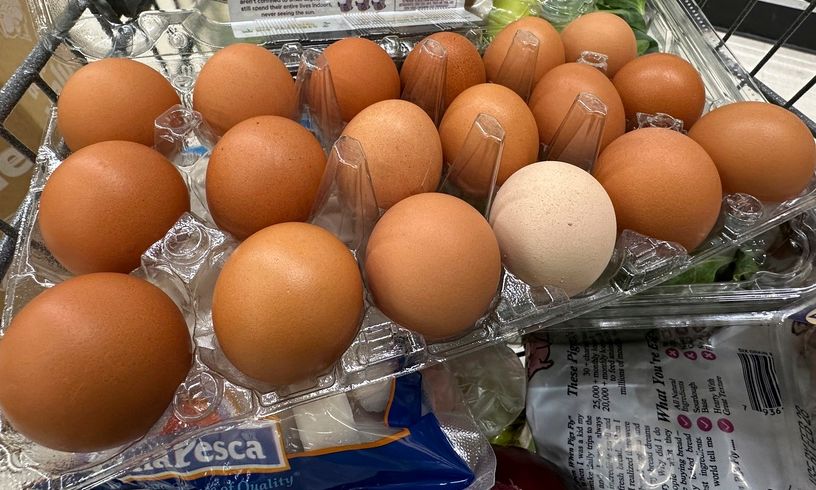 Πότε χαλάνε τα αυγά στο ψυγείο Πότε χαλάνε τα αυγά στο ψυγείο
