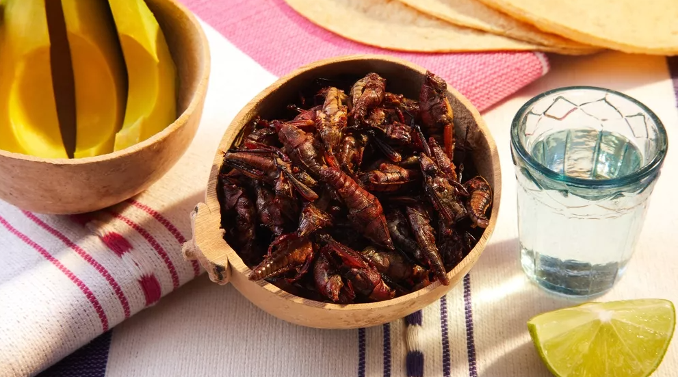 &Pi;&rho;&omega;&tau;&epsilon;ΐ&nu;&eta; &alpha;&pi;ό έ&nu;&tau;&omicron;&mu;&alpha; ή &kappa;&rho;έ&alpha;&sigmaf;; &Omicron;&iota; &epsilon;&iota;&delta;&iota;&kappa;&omicron;ί &alpha;&nu;&alpha;&lambda;ύ&omicron;&upsilon;&nu; &tau;&eta; &nu;έ&alpha; &tau;ά&sigma;&eta;