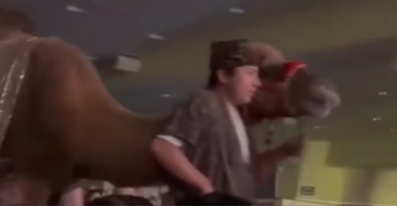 &Beta;&Iota;&Nu;&Tau;&Epsilon;&Omicron;: &Kappa;&alpha;&mu;ή&lambda;&alpha; &kappa;&lambda;ώ&tau;&sigma;&eta;&sigma;&epsilon; &gamma;&upsilon;&nu;&alpha;ί&kappa;&alpha; &theta;&epsilon;&alpha;&tau;ή &sigma;&epsilon; &chi;&rho;&iota;&sigma;&tau;&omicron;&upsilon;&gamma;&epsilon;&nu;&nu;&iota;ά&tau;&iota;&kappa;&eta; &pi;&alpha;&rho;ά&sigma;&tau;&alpha;&sigma;&eta; &epsilon;&kappa;&kappa;&lambda;&eta;&sigma;ί&alpha;&sigmaf;