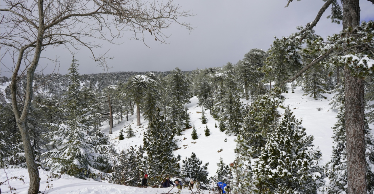 &Beta;&Iota;&Nu;&Tau;&Epsilon;&Omicron;: &Pi;&omicron;&lambda;ί&tau;&epsilon;&sigmaf; &mu;&epsilon;&tau;&alpha;&kappa;&iota;&nu;&omicron;ύ&nu; &beta;&rho;ά&chi;&omicron; &alpha;&pi;ό &tau;&omicron; &delta;&rho;ό&mu;&omicron; &Pi;&lambda;&alpha;&tau;&rho;ώ&nu;&ndash;&Tau;&rho;&omicron;ό&delta;&omicron;&upsilon;&sigmaf; &ndash; &Pi;&rho;&omicron;&sigma;&omicron;&chi;ή &sigma;&tau;&iota;&sigmaf; &kappa;&alpha;&tau;&omicron;&lambda;&iota;&sigma;&theta;ή&sigma;&epsilon;&iota;&sigmaf;