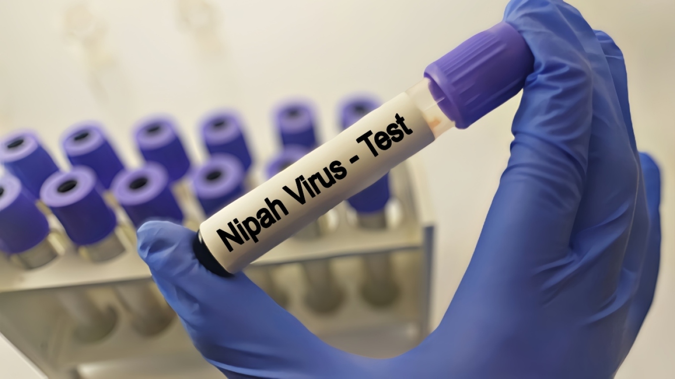 &Iota;ό&sigmaf; &Nu;ί&pi;&alpha;: &laquo;&Omicron; &kappa;ί&nu;&delta;&upsilon;&nu;&omicron;&sigmaf; &epsilon;&xi;ά&pi;&lambda;&omega;&sigma;ή&sigmaf; &tau;&omicron;&upsilon; &sigma;&epsilon; &pi;&alpha;&gamma;&kappa;ό&sigma;&mu;&iota;&omicron; &epsilon;&pi;ί&pi;&epsilon;&delta;&omicron; &epsilon;ί&nu;&alpha;&iota; &chi;&alpha;&mu;&eta;&lambda;ό&sigmaf;&raquo;, &sigma;ύ&mu;&phi;&omega;&nu;&alpha; &mu;&epsilon; &tau;&omicron;&nu; &Pi;&Omicron;&Upsilon;