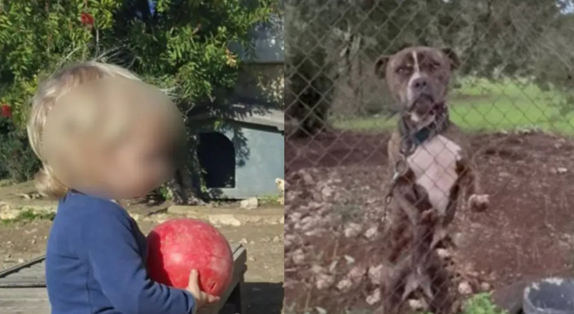 Ζάκυνθος: «Όλα έγιναν σε δευτερόλεπτα»