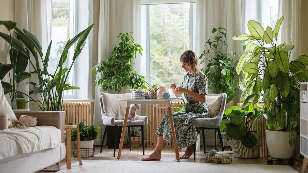 &Pi;&omicron;&iota;&omicron; &phi;&upsilon;&tau;ό &epsilon;&sigma;&omega;&tau;&epsilon;&rho;&iota;&kappa;&omicron;ύ &chi;ώ&rho;&omicron;&upsilon; &kappa;&alpha;&theta;&alpha;&rho;ί&zeta;&epsilon;&iota; &tau;&omicron;&nu; &alpha;έ&rho;&alpha; έ&omega;&sigmaf; &kappa;&alpha;&iota; 90% &sigma;&epsilon; 24 ώ&rho;&epsilon;&sigmaf;