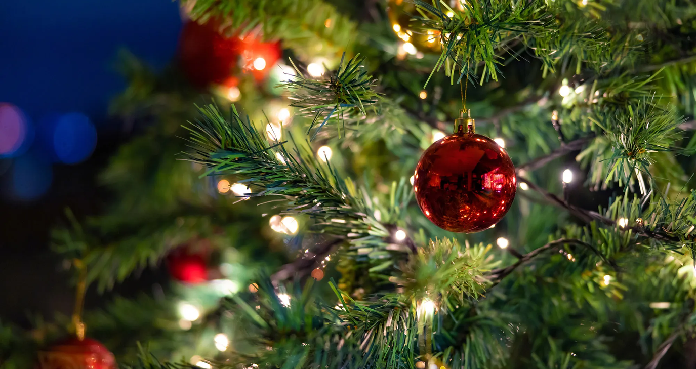 Βανδάλισαν τον χριστουγεννιάτικο διάκοσμο της Λάρνακας – Η έκκλήση του Δήμου