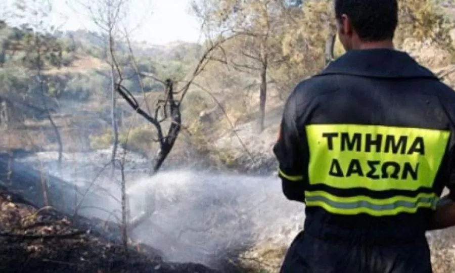 &Pi;&upsilon;&rho;&kappa;&alpha;&gamma;&iota;ά &sigma;&tau;&eta; &Lambda;&epsilon;&mu;&epsilon;&sigma;ό: &Delta;έ&nu;&tau;&rho;&omicron; &chi;&tau;&upsilon;&pi;ή&theta;&eta;&kappa;&epsilon; &alpha;&pi;ό &kappa;&epsilon;&rho;&alpha;&upsilon;&nu;ό - &Delta;&epsilon;ί&tau;&epsilon; &phi;&omega;&tau;&omicron;&gamma;&rho;&alpha;&phi;ί&alpha;