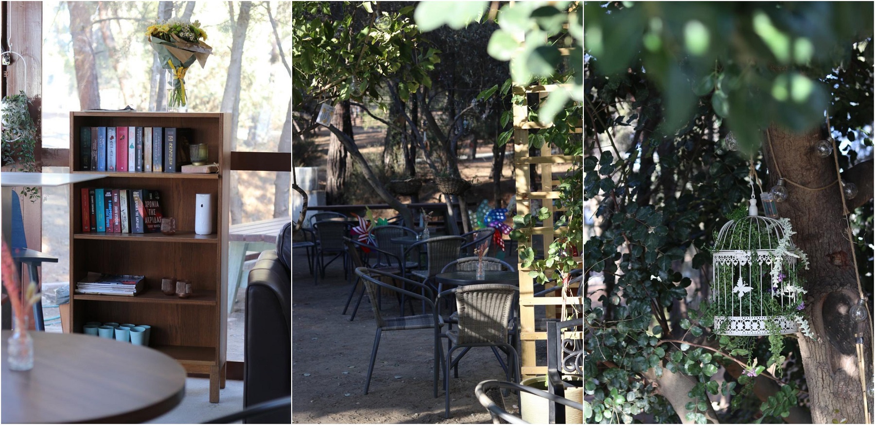 Ναι, είναι στην Κύπρο – Ένα café βγαλμένο από παραμύθι, μέσα στο δάσος – Φημίζεται για τα γλυκά του Ναι, είναι στην Κύπρο – Ένα café βγαλμένο από παραμύθι, μέσα στο δάσος – Φημίζεται για τα γλυκά του