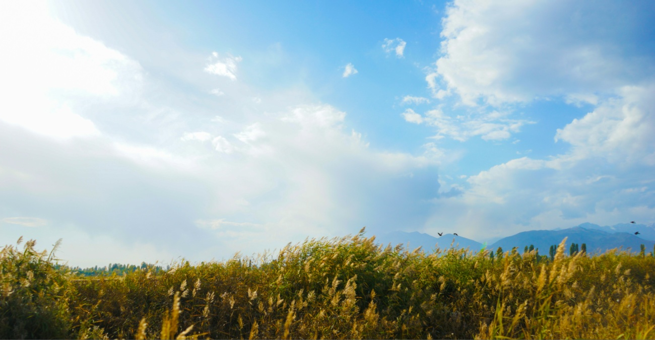 Καιρός για καλοκαίρι… αγγίζει τους 30 βαθμούς κελσίου ο υδράργυρος – Πότε και που αναμένονται βροχές