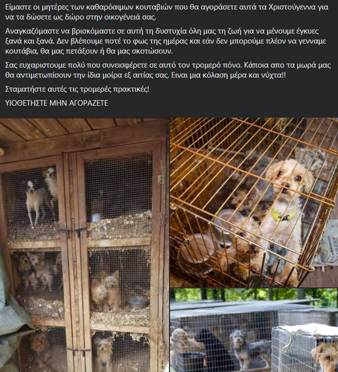 «Είμαστε οι μητέρες των καθαρόαιμων κουταβιών που θα αγοράσετε αυτά τα Χριστούγεννα!»