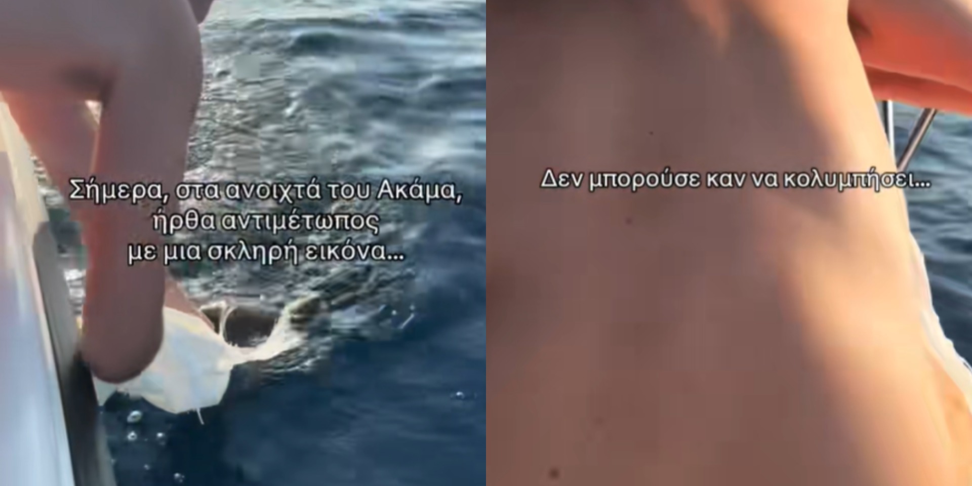 Συγκινητικό video: «Φύλακας-άγγελος» ένας Κύπριος για χελώνα που παγιδεύτηκε σε πλαστική σακούλα - «Δεν μπορούσε να κολυμπήσει…»