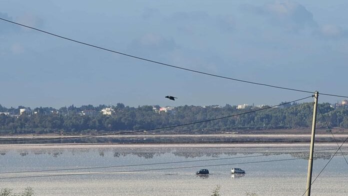Κολλημένα παραμένουν τα οχήματα στην Αλυκή – Δύσκολος ο απεγκλωβισμός τους – Στους ιδιοκτήτες τα έξοδα Κολλημένα παραμένουν τα οχήματα στην Αλυκή – Δύσκολος ο απεγκλωβισμός τους – Στους ιδιοκτήτες τα έξοδα