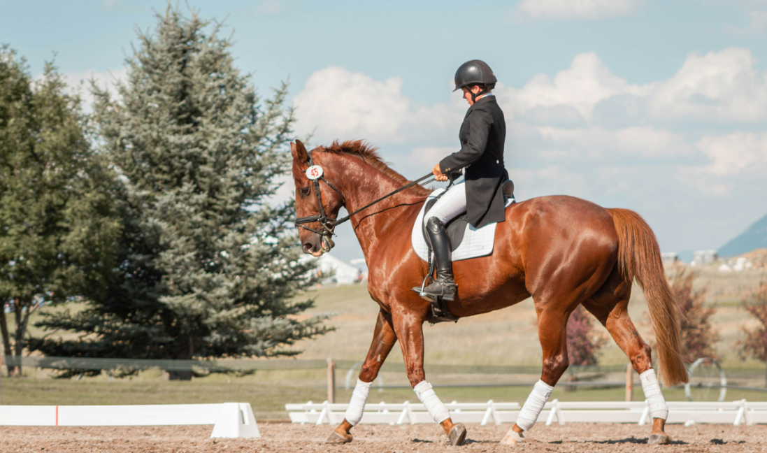 Έρχεται πρόστιμο για όσους τρέχουν με άλογο, τινάζουν χαλιά, απλώνουν μπουγάδα ή γαυγίζει ο σκύλος τους