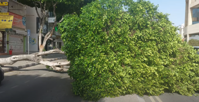 &Alpha;&nu;&alpha;&sigma;&tau;ά&tau;&omega;&sigma;&eta; &sigma;&tau;&eta; &Lambda;&epsilon;&mu;&epsilon;&sigma;ό &alpha;&pi;ό &pi;&tau;ώ&sigma;&eta; &delta;έ&nu;&tau;&rho;&omicron;&upsilon; &sigma;&epsilon; &delta;&iota;&epsilon;&rho;&chi;ό&mu;&epsilon;&nu;&omicron; &alpha;&upsilon;&tau;&omicron;&kappa;ί&nu;&eta;&tau;&omicron; - &Delta;&epsilon;ί&tau;&epsilon; &epsilon;&iota;&kappa;ό&nu;&epsilon;&sigmaf;