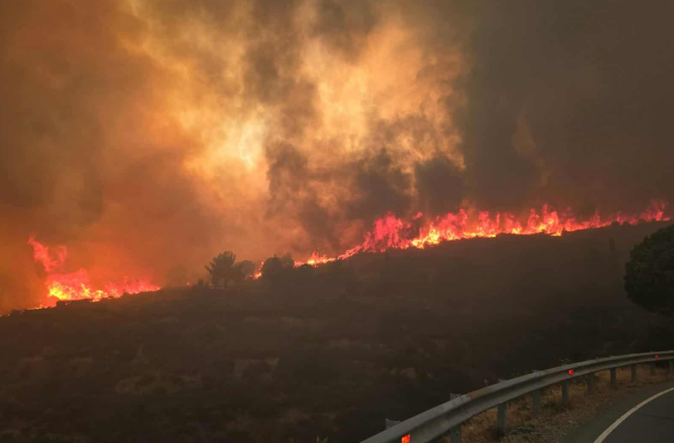 Σε εμπρησμό οφείλεται η φονική πυρκαγιά στη Λεμεσό