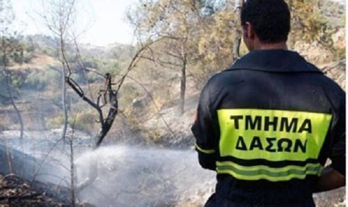 &Pi;&rho;ό&lambda;&alpha;&beta;&alpha;&nu; &tau;&alpha; &chi;&epsilon;&iota;&rho;ό&tau;&epsilon;&rho;&alpha;: &Xi;έ&sigma;&pi;&alpha;&sigma;&epsilon; &pi;&upsilon;&rho;&kappa;&alpha;&gamma;&iota;ά &sigma;&tau;&eta;&nu; &Delta;&rho;&omicron;ύ&sigma;&epsilon;&iota;&alpha; - &Kappa;&alpha;&tau;έ&kappa;&alpha;&psi;&epsilon; έ&kappa;&tau;&alpha;&sigma;&eta; &mu;&epsilon; &chi;&alpha;&mu;&eta;&lambda;ή ά&gamma;&rho;&iota;&alpha; &beta;&lambda;ά&sigma;&tau;&eta;&sigma;&eta;