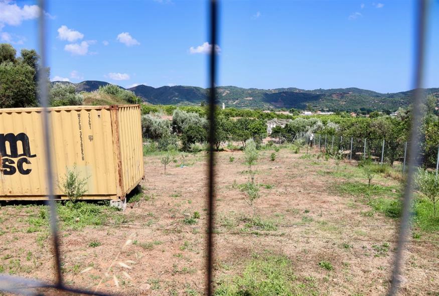 &Delta;&omicron;&lambda;&omicron;&phi;&omicron;&nu;ί&alpha; &Sigma;&tau;&alpha;&upsilon;&rho;&omicron;ύ&lambda;&alpha;&sigmaf; &Lambda;&epsilon;&beta;&epsilon;&nu;&tau;ά&kappa;&eta;: &Pi;ώ&sigmaf; &eta; &Epsilon;&Lambda;&Alpha;&Sigma; &laquo;έ&delta;&epsilon;&sigma;&epsilon;&raquo; &tau;&omicron;&nu; &delta;&rho;ά&sigma;&tau;&eta; - &Omicron;&iota; &alpha;&nu;&tau;&iota;&phi;ά&sigma;&epsilon;&iota;&sigmaf;, &tau;&omicron; &beta;ί&nu;&tau;&epsilon;&omicron; &kappa;&alpha;&iota; &omicron; &mu;&alpha;&rho;&tau;&upsilon;&rho;&iota;&kappa;ό&sigmaf; &theta;ά&nu;&alpha;&tau;&omicron;&sigmaf;