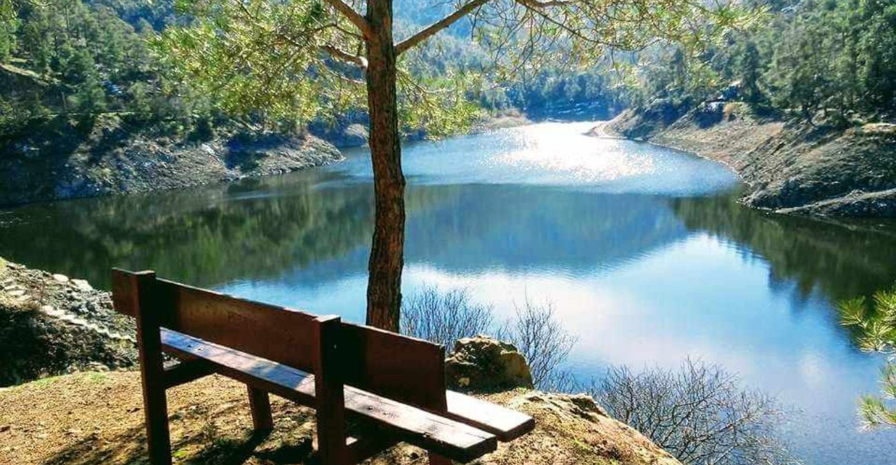 &Epsilon;&nu;&tau;&upsilon;&pi;&omega;&sigma;&iota;&alpha;&kappa;ή &upsilon;&pi;&epsilon;&rho;&chi;&epsilon;ί&lambda;&iota;&sigma;&eta; &sigma;&tau;&omicron; &Phi;&rho;ά&gamma;&mu;&alpha; &Xi;&upsilon;&lambda;&iota;ά&tau;&omicron;&upsilon; &mu;&alpha;&gamma;&epsilon;ύ&epsilon;&iota; &tau;&omicron;&upsilon;&sigmaf; &epsilon;&pi;&iota;&sigma;&kappa;έ&pi;&tau;&epsilon;&sigmaf;