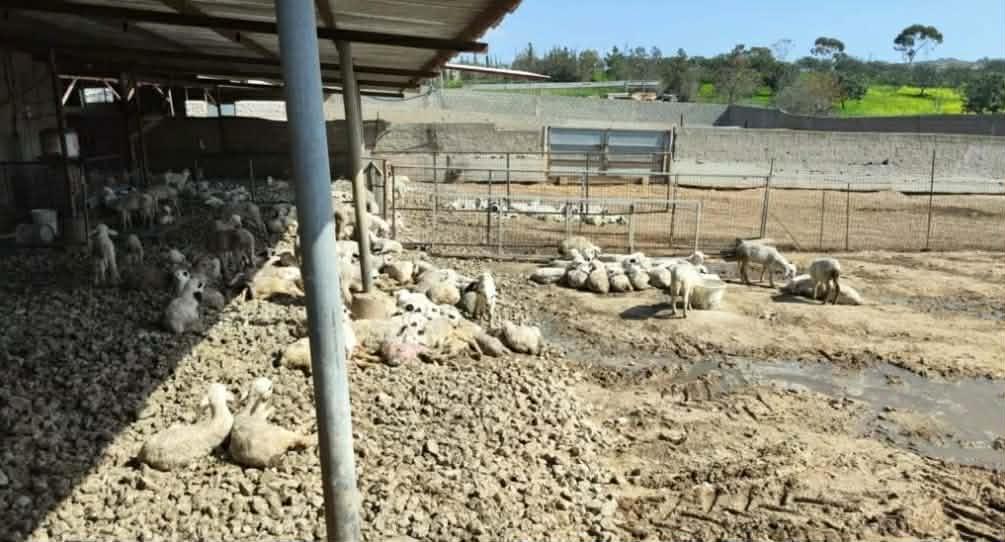 Τρία νέα κρούσματα αφθώδους πυρετού σε μονάδες - Μεγαλώνει η αλυσίδα
