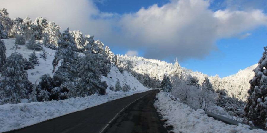 Οδηγοί Προσοχή: Πυκνή ομίχλη σκέπασε το Τρόοδος – Περιορισμένη η ορατότητα