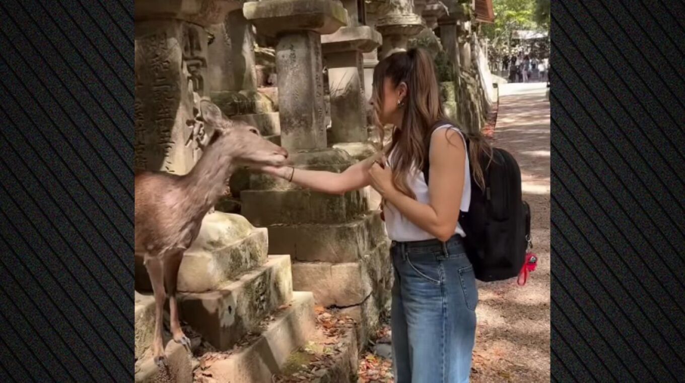 Η Αποστολία Ζώη χάιδεψε ελάφι στην Ιαπωνία: Έφυγα πιο πλούσια