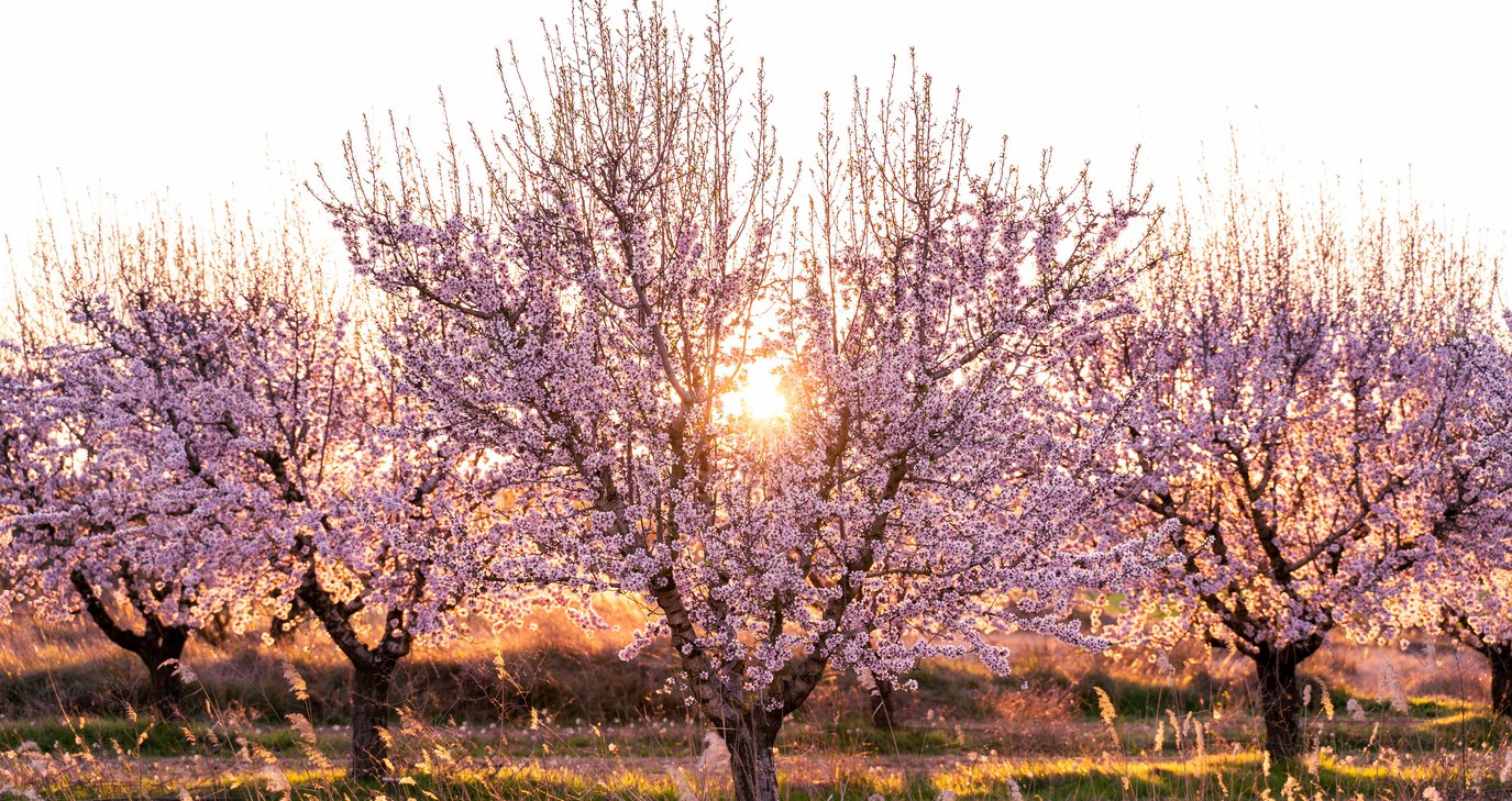 &Tau;&omicron; &phi;&epsilon;&sigma;&tau;&iota;&beta;ά&lambda; &sigma;&epsilon; &chi;&omega;&rho;&iota;ό &pi;&omicron;&upsilon; &sigma;&eta;&mu;&alpha;&tau;&omicron;&delta;&omicron;&tau;&epsilon;ί &tau;&eta;&nu; ά&nu;&omicron;&iota;&xi;&eta; - &Epsilon;&pi;&iota;&sigma;&tau;&rho;έ&phi;&epsilon;&iota; &mu;&epsilon; &mu;&omicron;&upsilon;&sigma;&iota;&kappa;ή, &gamma;&epsilon;ύ&sigma;&epsilon;&iota;&sigmaf; &kappa;&alpha;&iota; &pi;&alpha;&rho;ά&delta;&omicron;&sigma;&eta; &sigma;&epsilon; &mu;&iota;&alpha; &omicron;&lambda;&omicron;ή&mu;&epsilon;&rho;&eta; &gamma;&iota;&omicron;&rho;&tau;ή - &Delta;&epsilon;ί&tau;&epsilon; &tau;&omicron; &pi;&rho;ό&gamma;&rho;&alpha;&mu;&mu;&alpha;