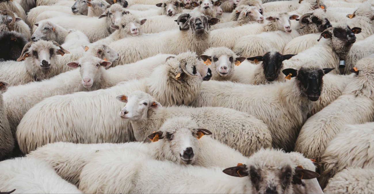 &Theta;&alpha;&nu;&alpha;&tau;ώ&nu;&omicron;&nu;&tau;&alpha;&iota; &pi;ά&nu;&omega; 13.000 &zeta;ώ&alpha; &lambda;ό&gamma;&omega; &alpha;&phi;&theta;ώ&delta;&omicron;&upsilon;&sigmaf; &pi;&upsilon;&rho;&epsilon;&tau;&omicron;ύ &ndash; Έ&rho;&epsilon;&upsilon;&nu;&epsilon;&sigmaf; &gamma;&iota;&alpha; &tau;&eta; &laquo;&delta;&iota;&alpha;&delta;&rho;&omicron;&mu;ή&raquo; &alpha;&pi;ό &tau;&alpha; &kappa;&alpha;&tau;&epsilon;&chi;ό&mu;&epsilon;&nu;&alpha;