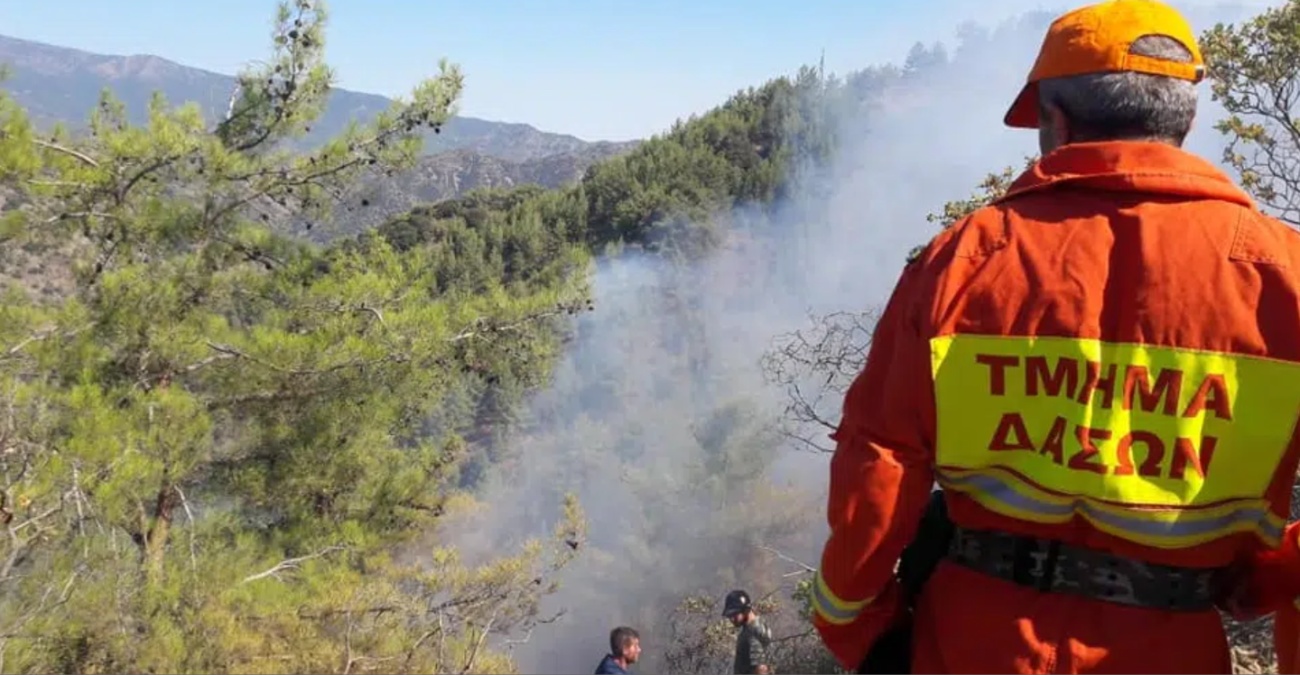 Δύο δασικές πυρκαγιές στην Πάφο μέσα σε μισή ώρα – Στη μάχη και πτητικά μέσα