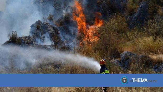 SOS από το Τμήμα Δασών: Στο «κόκκινο» και σήμερα ο κίνδυνος πρόκλησης πυρκαγιών - Vimarsana News