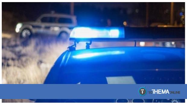 Πέγεια: Φρόντιζε χαλαρός το ενός μέτρου «φυτό» του στο εστιατόριο του - Vimarsana News